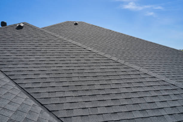 Best Roof Coating and Sealing  in Tyhee, ID